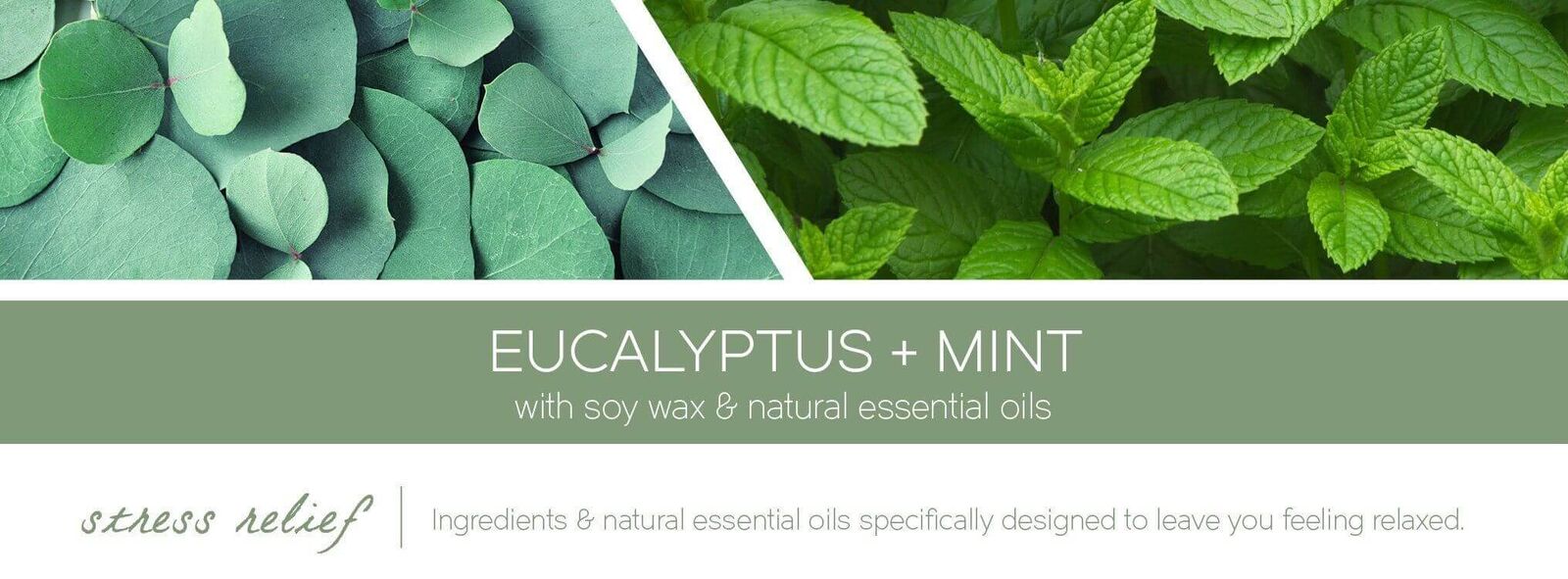 Aroma - Eucalyptus & Mint 453g