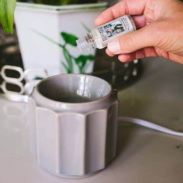 BW131167_2_600x Azalea & Oak Home Fragrance Oil