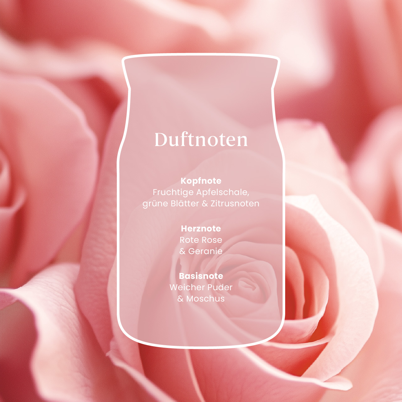 Fresh Cut Roses 110g