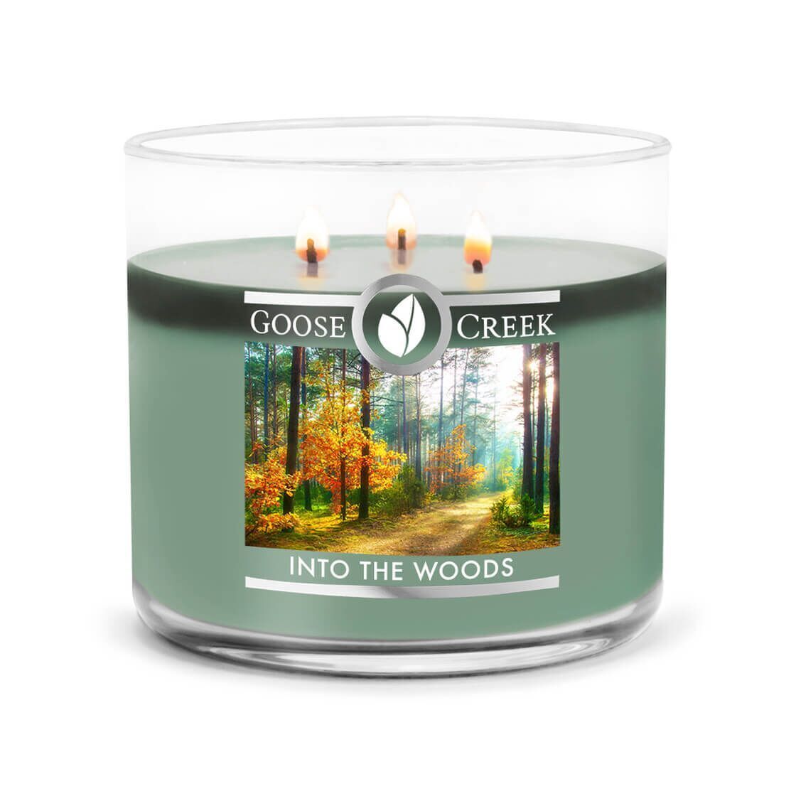 into-the-woods-3-docht-kerze-411g Into the Woods 411g (3-Docht)