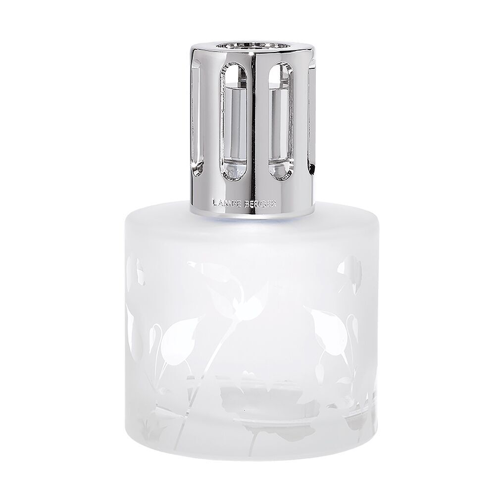 Aroma Energy Auslauf