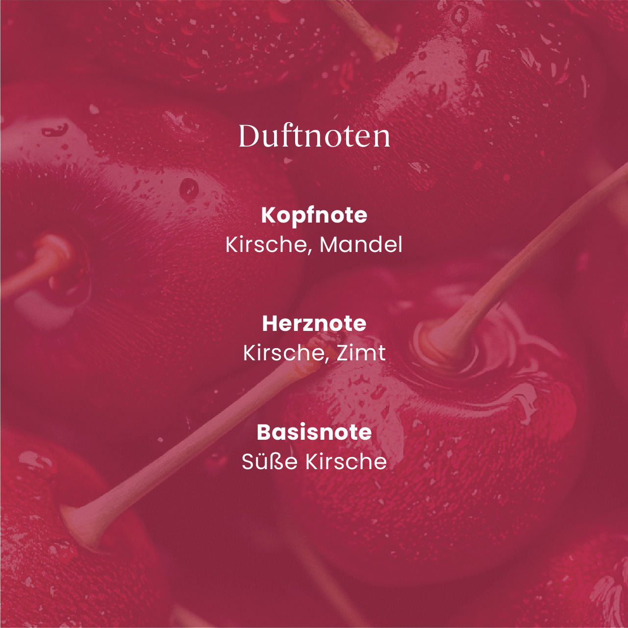 Black Cherry Nachfüller Reed Diffuser 250ml Black Cherry Nachfüller Reed Diffuser 250ml