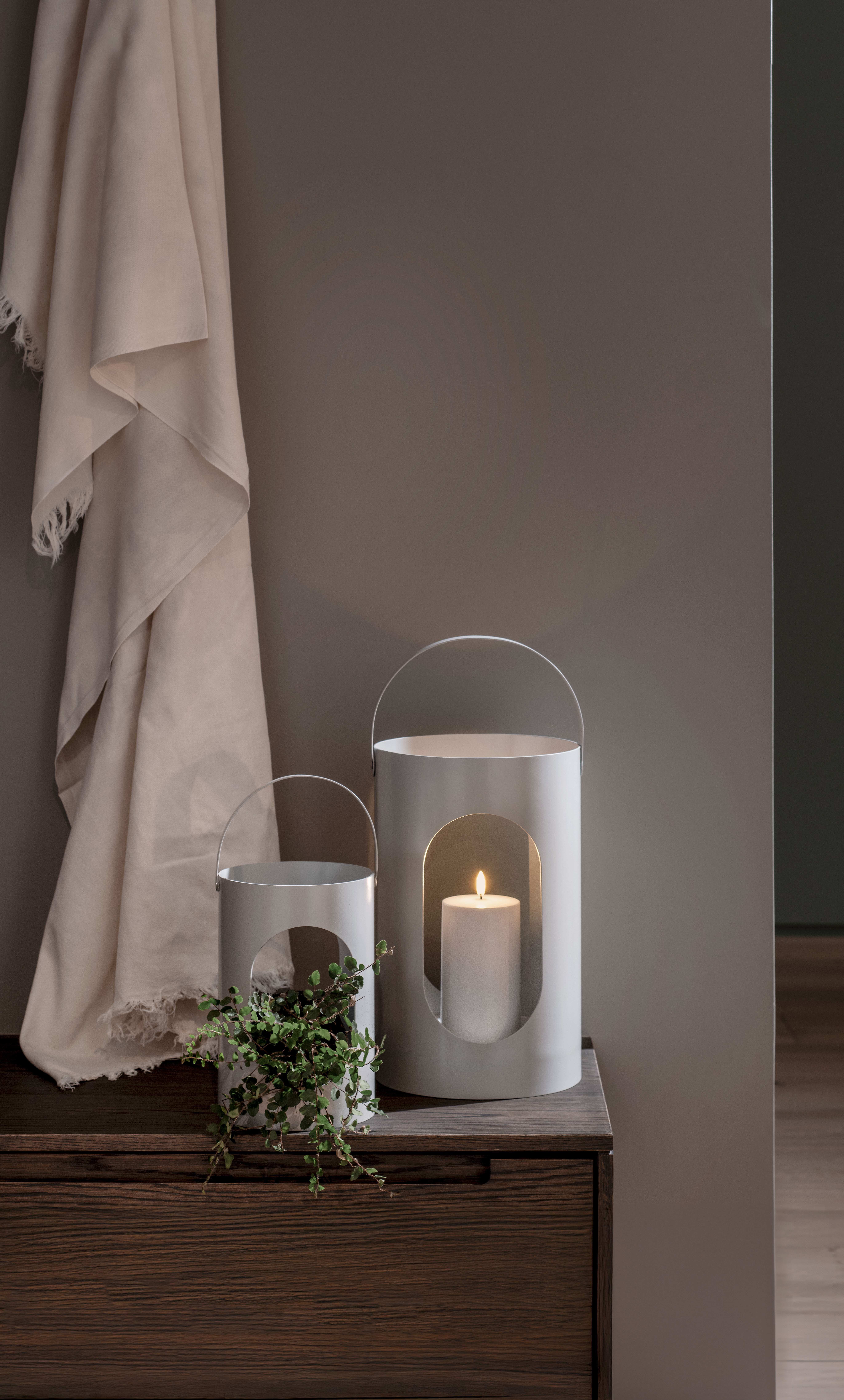 Lampe, Kerze, Pflanze