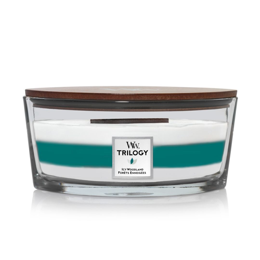 Trilogy Ellipse Candles
