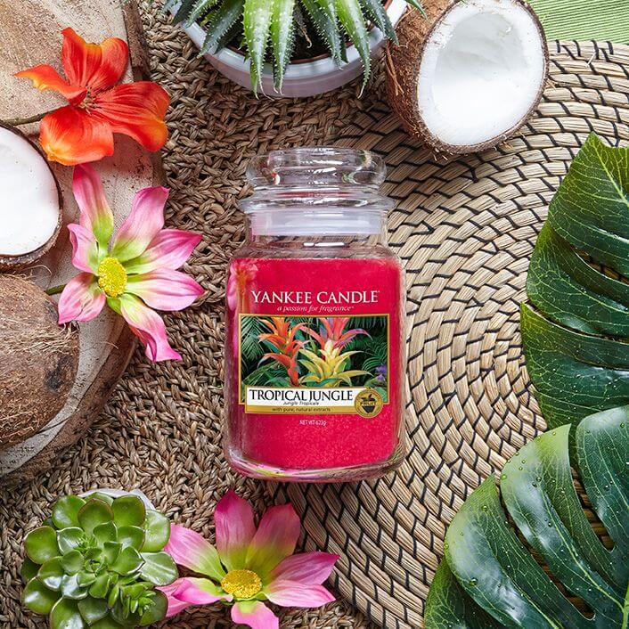 Tropical Jungle 623g