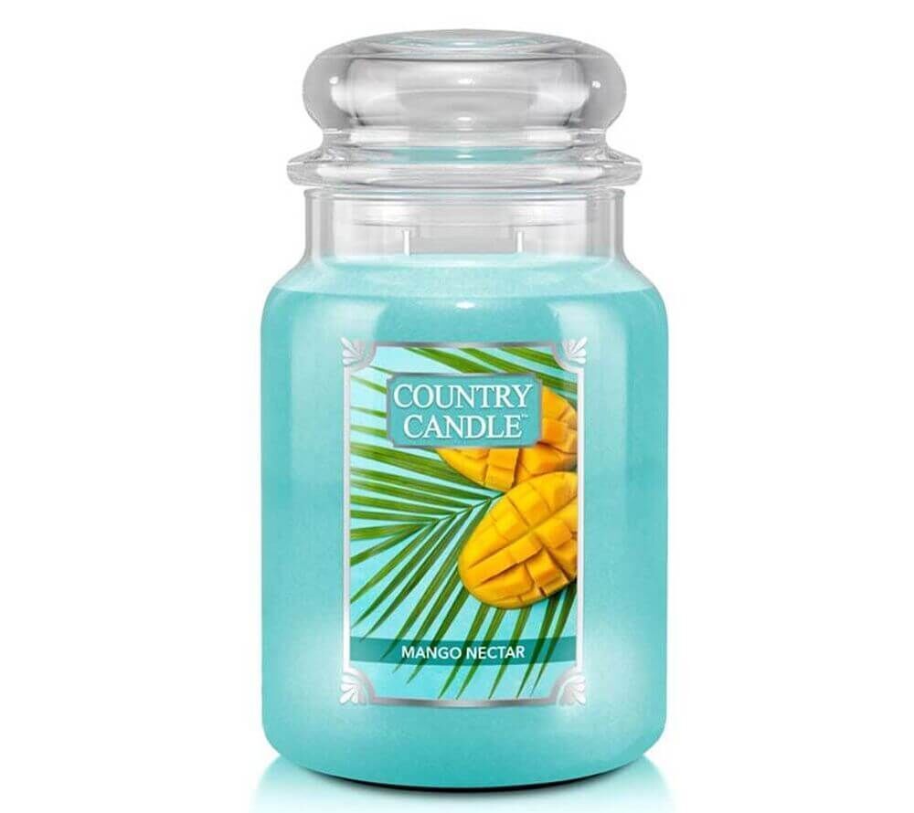 Mango Nectar 680g