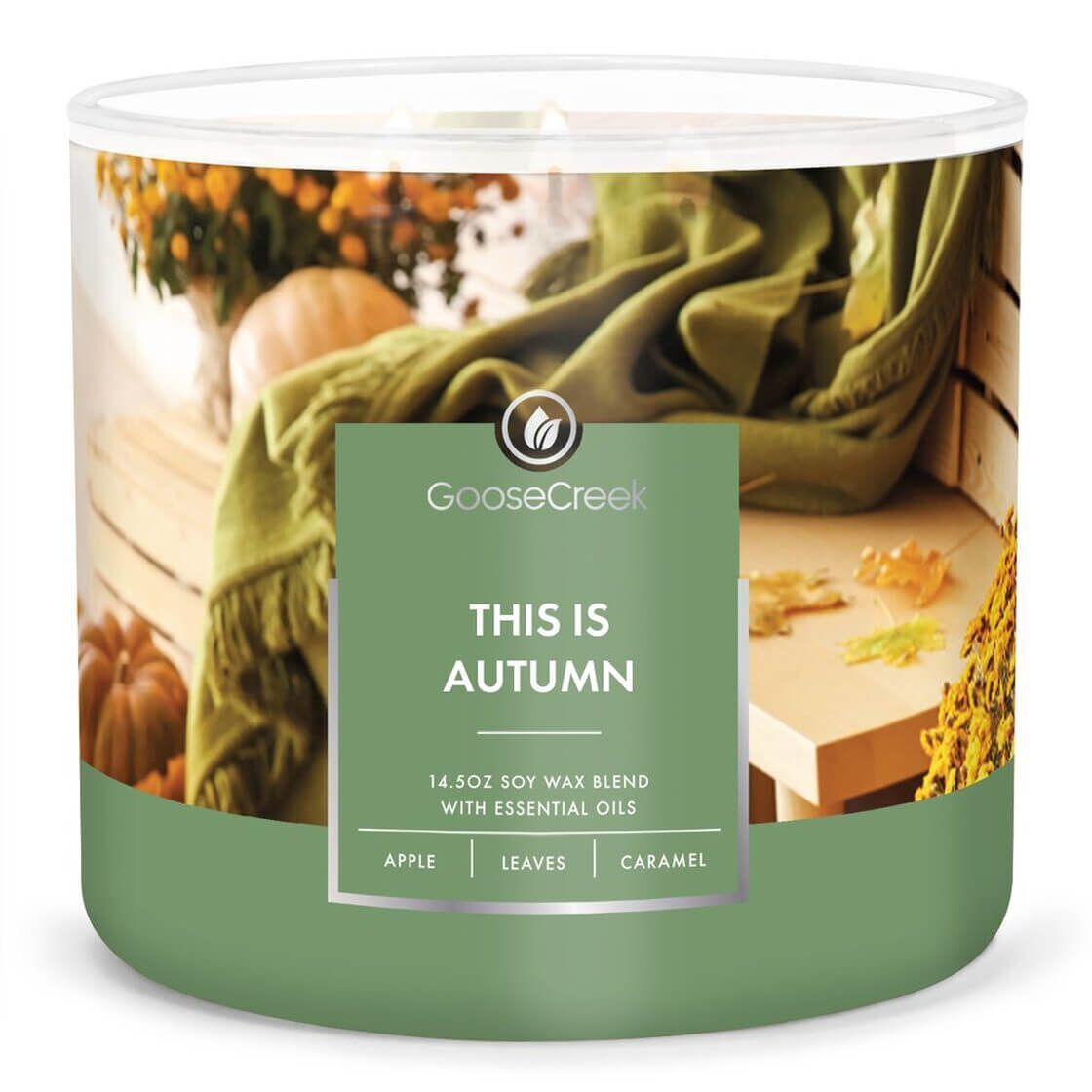 this-is-autumn-3-docht-kerze-411g This Is Autumn 411g (3-Docht)