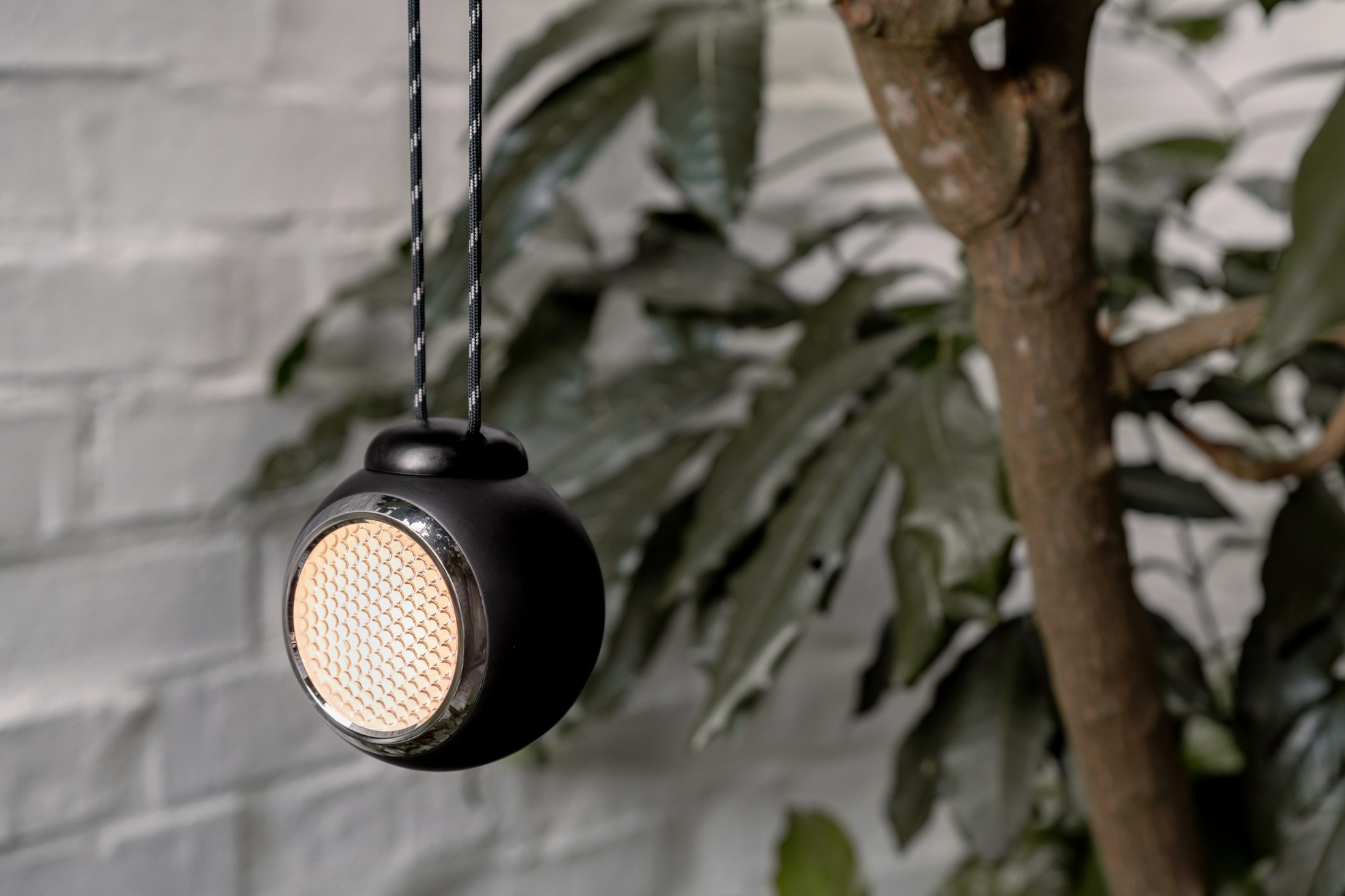 Norbitt Hanging String Squid Black