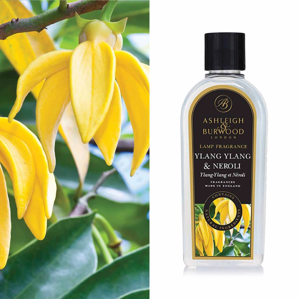 Ylang Ylang & Neroli 500ml Duftlampenöl Nachfüller Ylang Ylang & Neroli 500ml Duftlampenöl Nachfüller