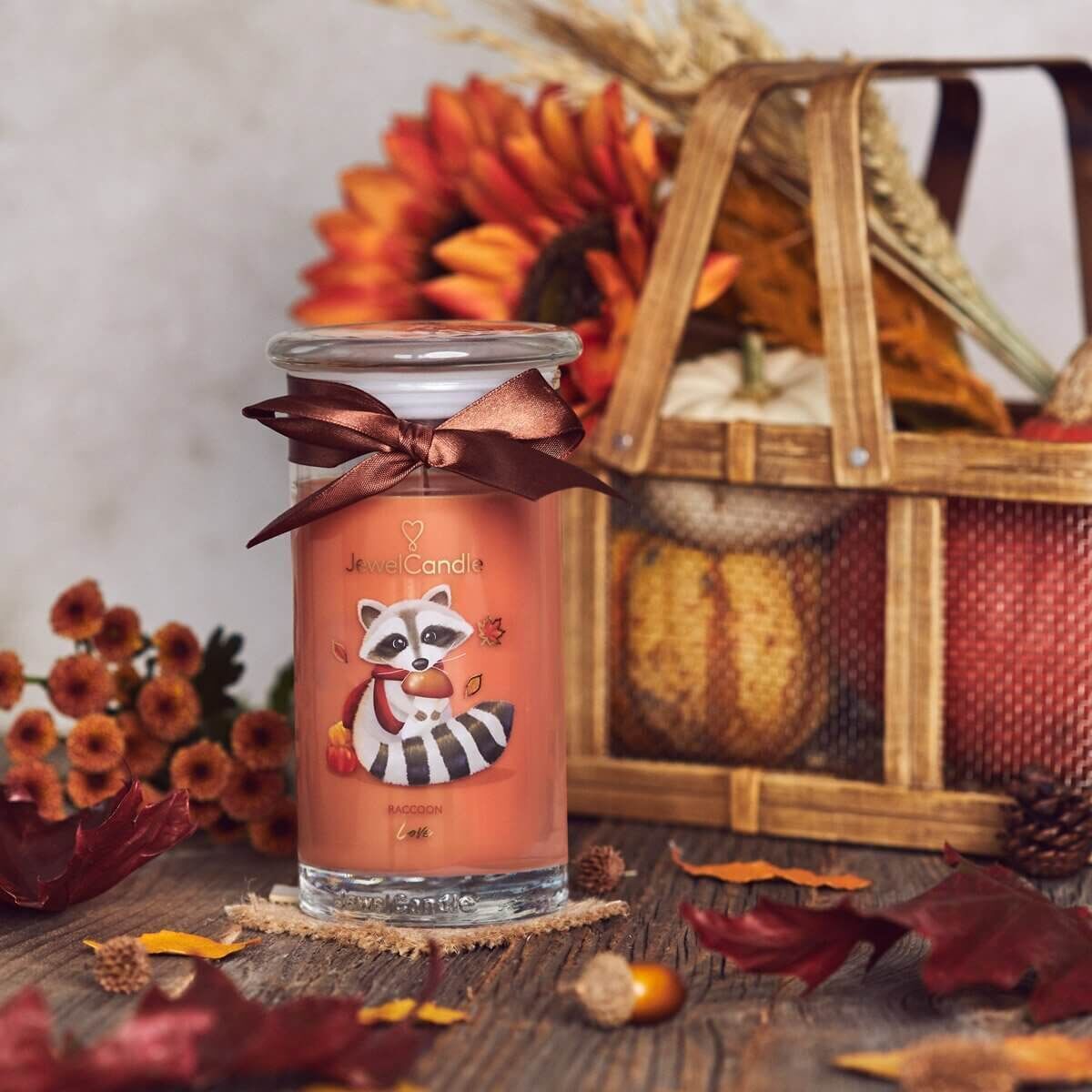 Racoon Love (Charm-Anhänger) 400g