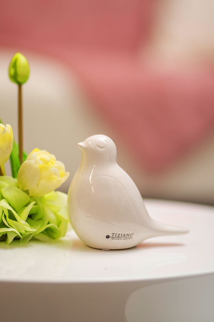 carlotta-weiss-creme1 Vogel Carlotta 6cm creme