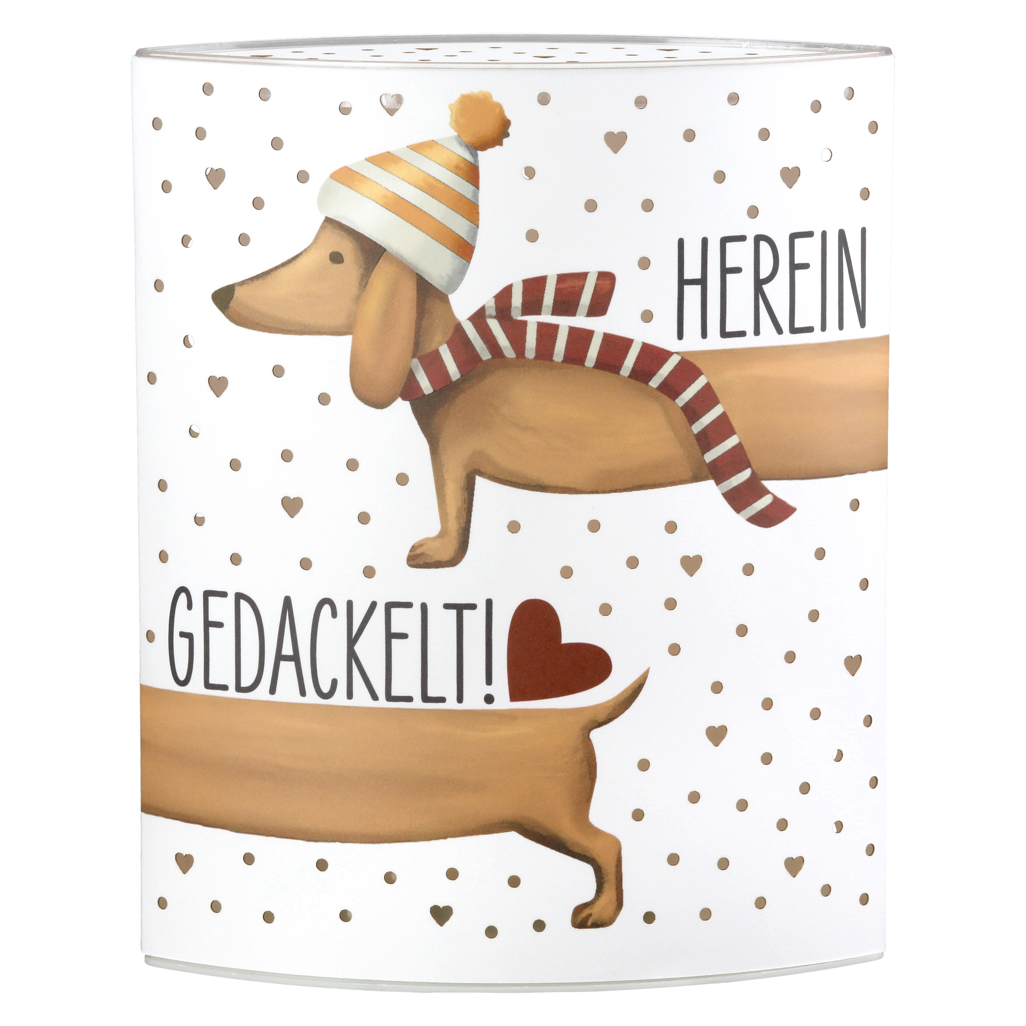 Hund, Winter, Strickmütze, Schal, Gedackelt