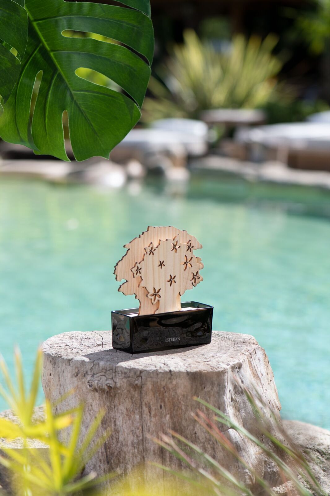 _DSC5825-RET Ylang Ylang Parfümbaum 150ml