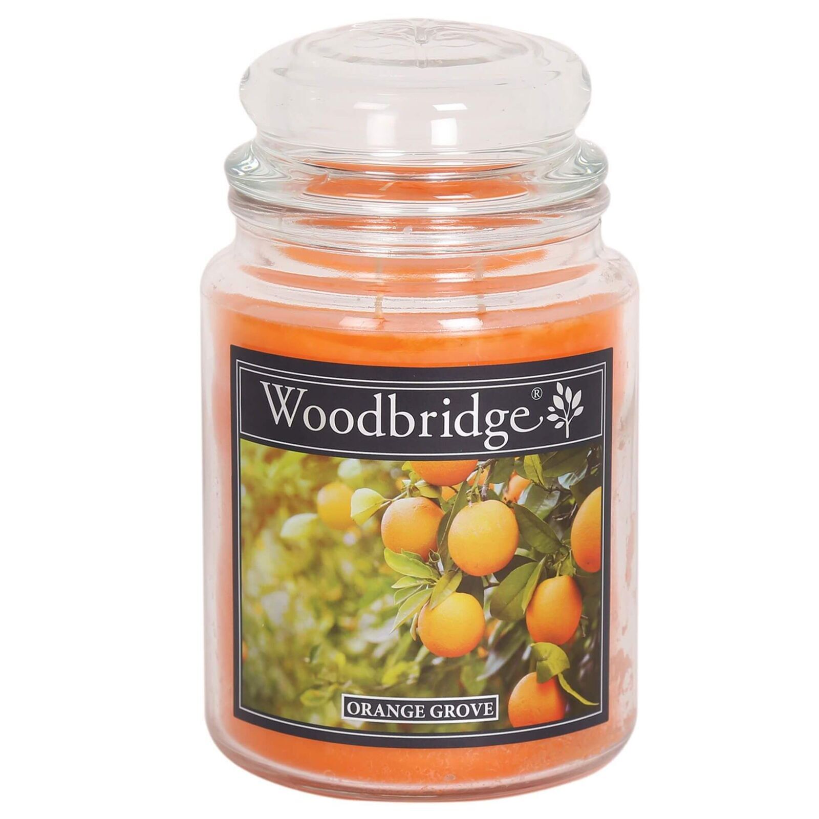 WLJ021 Orange Grove 565g