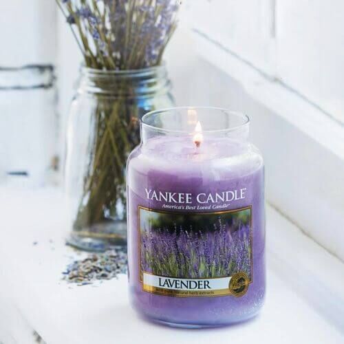 lavender Lavender Large