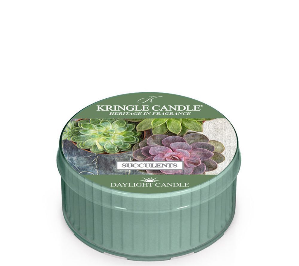 kringle_candle_succulents_daylight_american_heritage_13399_1 Succulents Daylight 42g