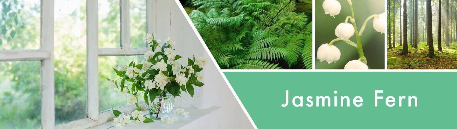 Jasmine-Fern-Candle-Fragrance_7b5f80ef-d43f-4aba-b9bc-e93653040c0dvTM0XBUFXgCBa Jasmine Fern 411g (3-Docht)