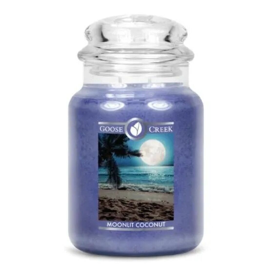 Moonlit Coconut 680g