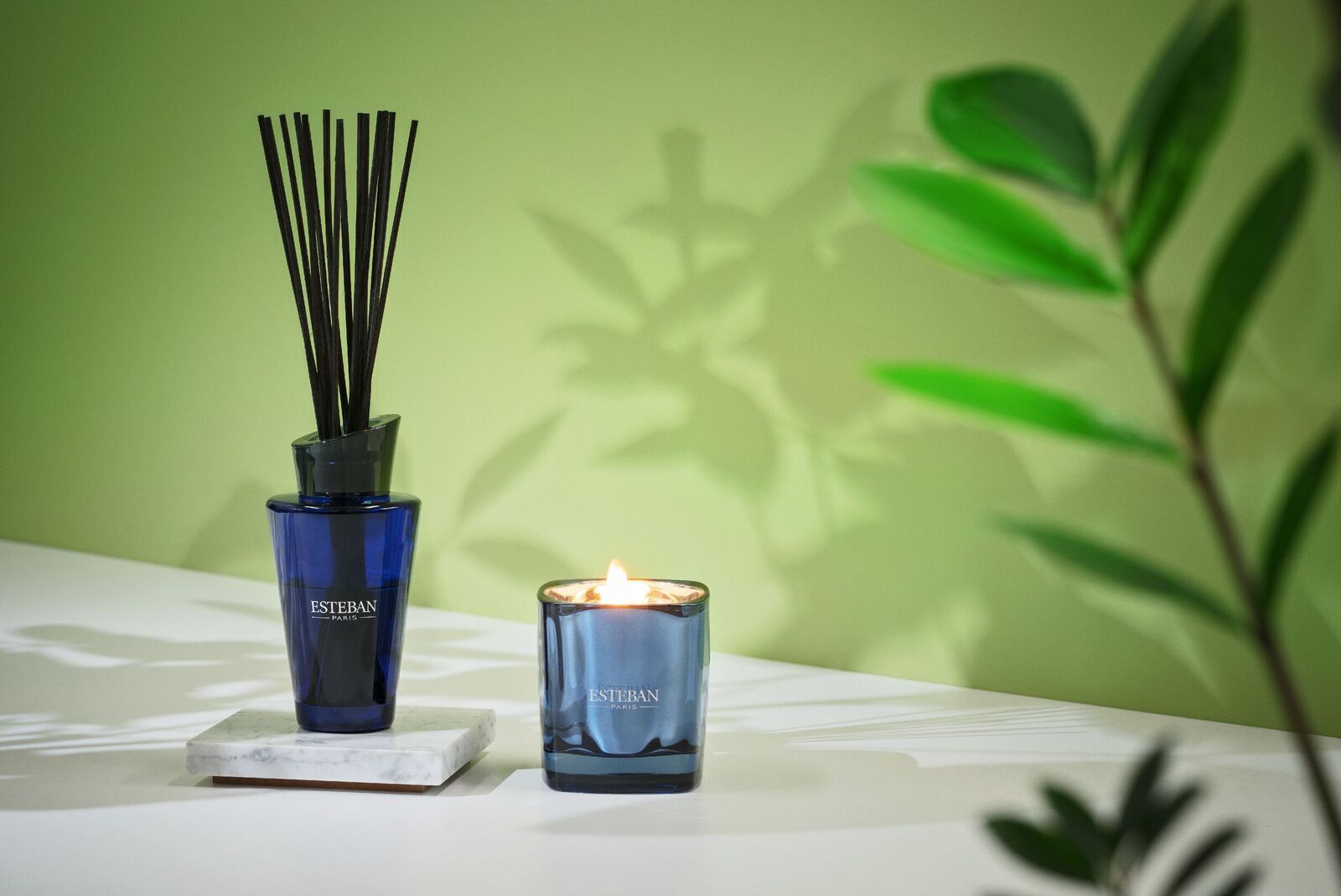 FRED-08327_RET_RVB_reduit Feigenholz & Tonka Duftkerze 170g