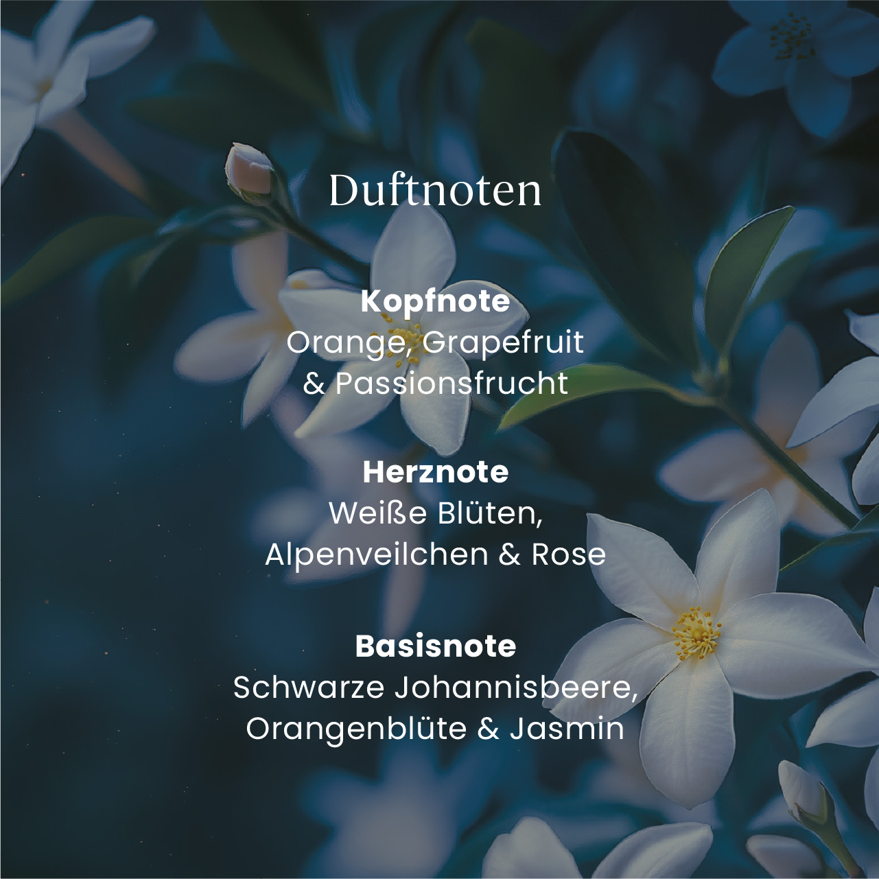 Midnight Jasmine Nachfüller Reed Diffuser 250ml Blumen, Kopfnote, Orangengrapefruit, Passionsfrucht, Weiße Blüten