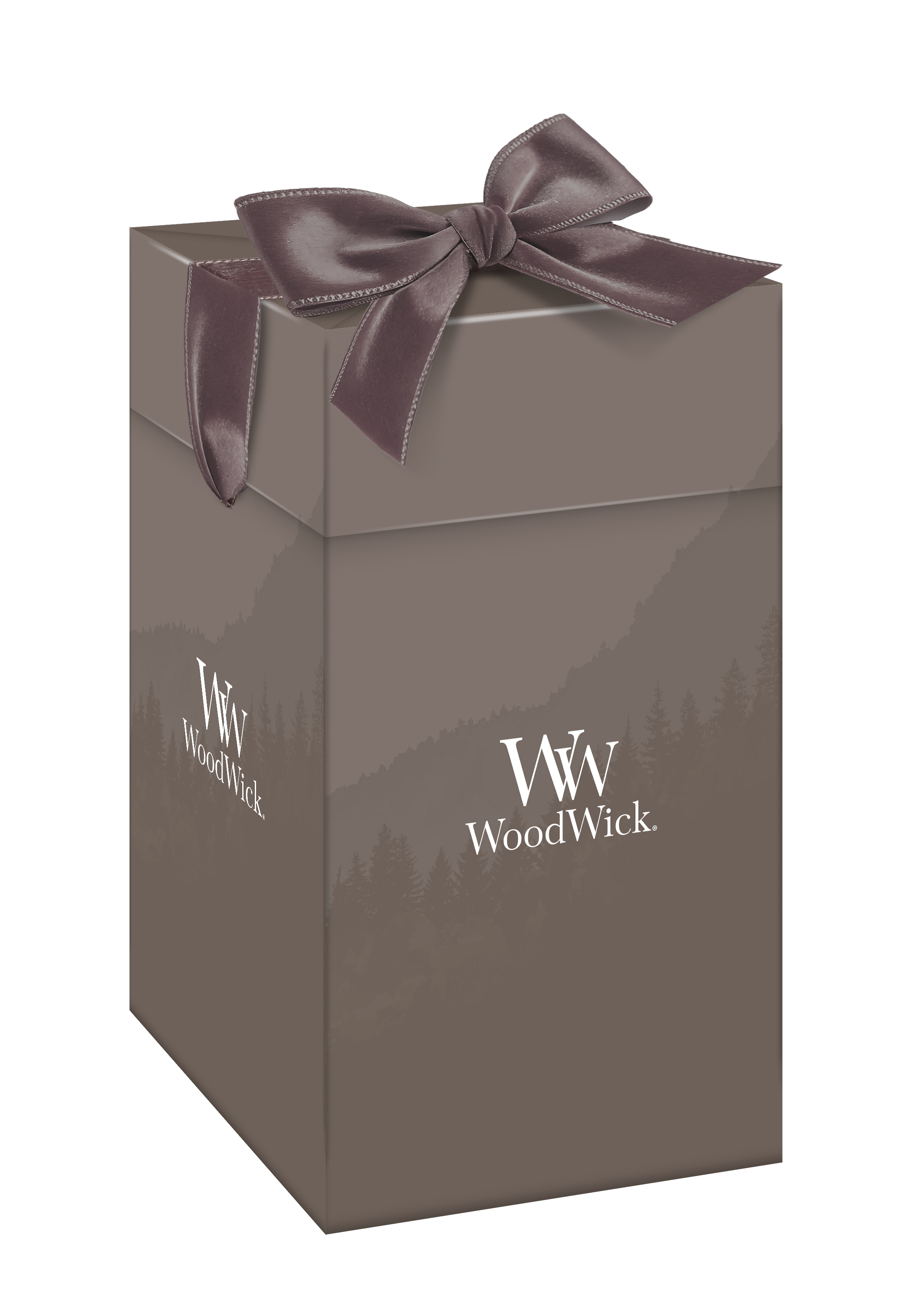 Geschenkeverpackung, braune Box, Band, Schleife, WoodWick