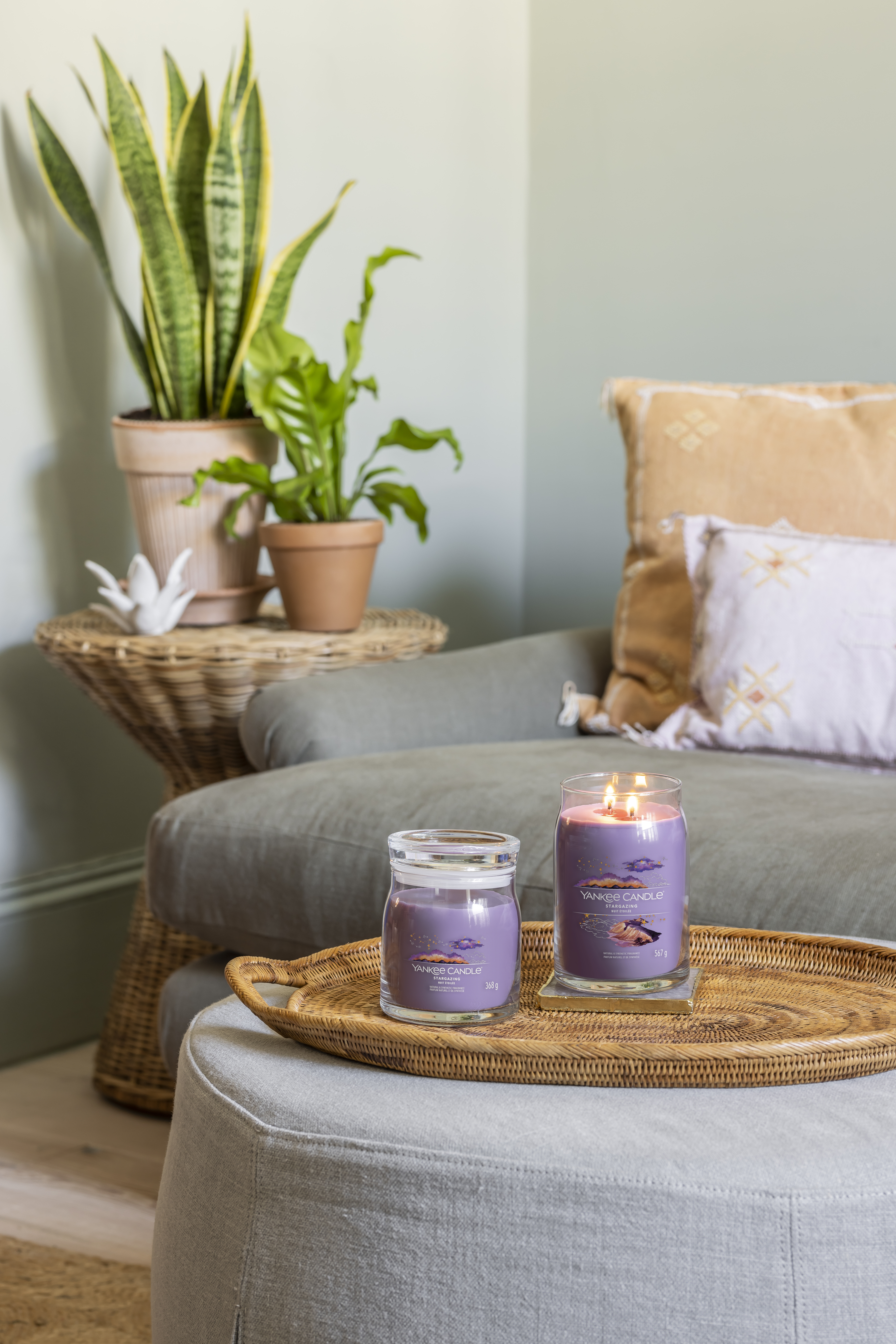 STARGAZING_GROUP_030 Stargazing Signature Large Jar 567g 2-Docht