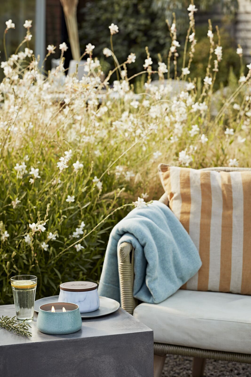 YC_Sparkling_Lemongrass_Linden_Tree_013_HRU Linden Tree Blossoms 283g Outdoor-Kerze