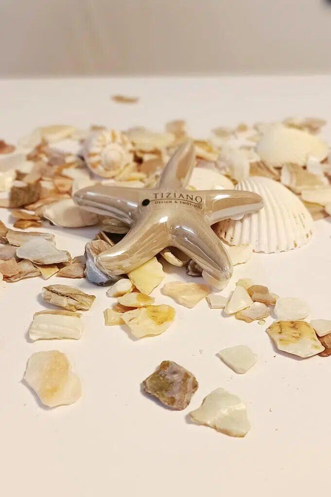 seestern-mirana-glatt-sand-klein Seestern Mirana 8cm sand