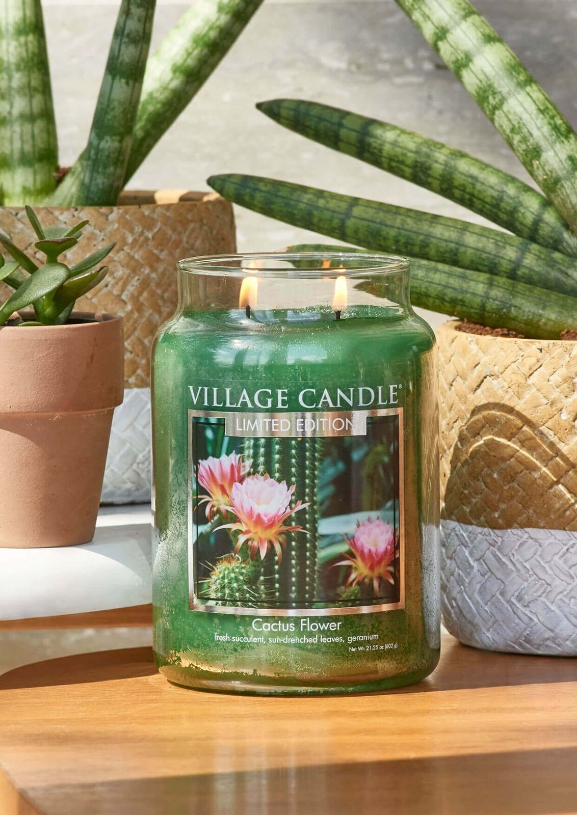 Cactus-Flower-PS-2 Village Candle Cactus Flower Lifestyle