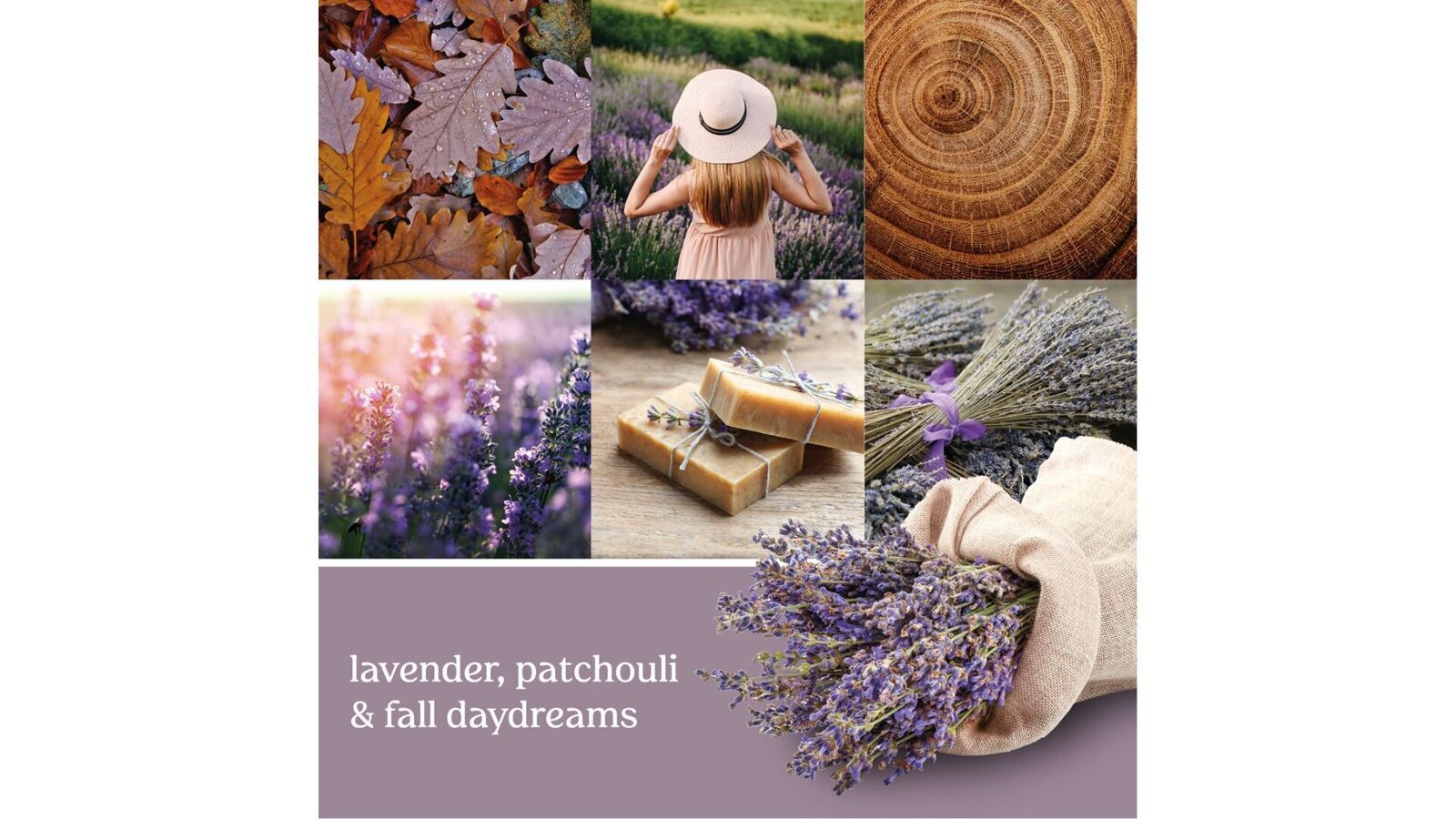 driedlavus1 Dried Lavender & Oak 623g