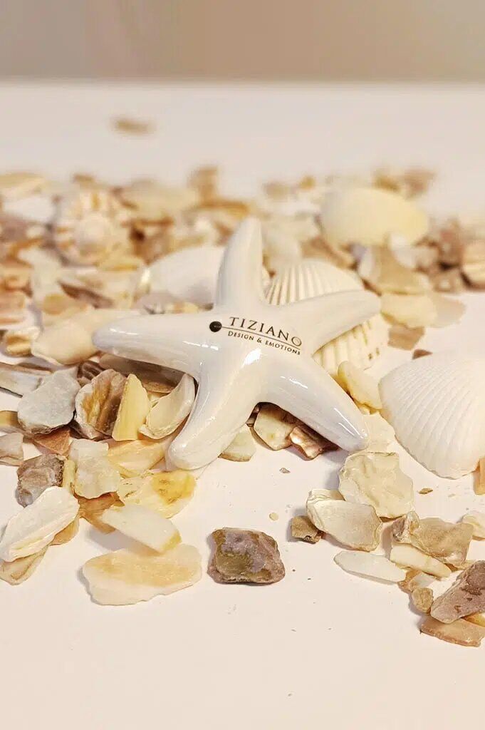 Seestern Mirana 11cm cremeweiß