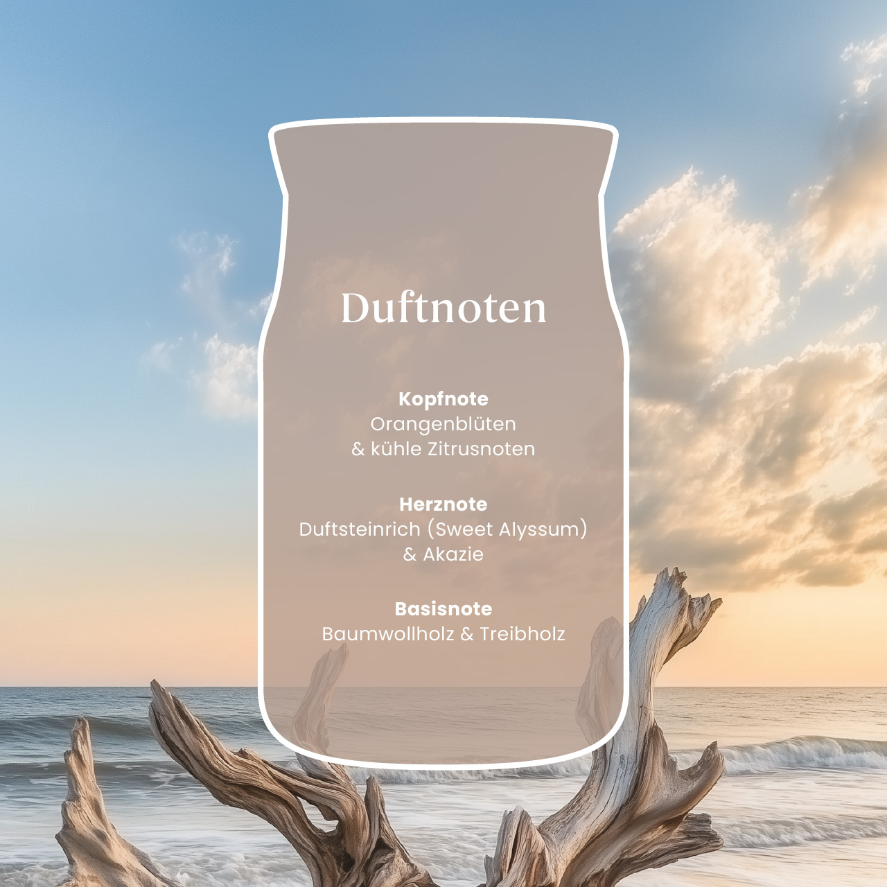 Seaside Woods Signature Large Jar 567g 2-Docht