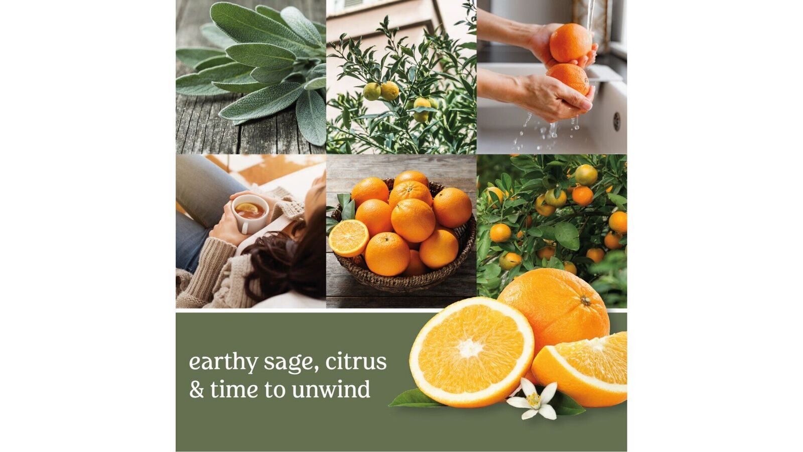 sagecitrusus Sage & Citrus 623g