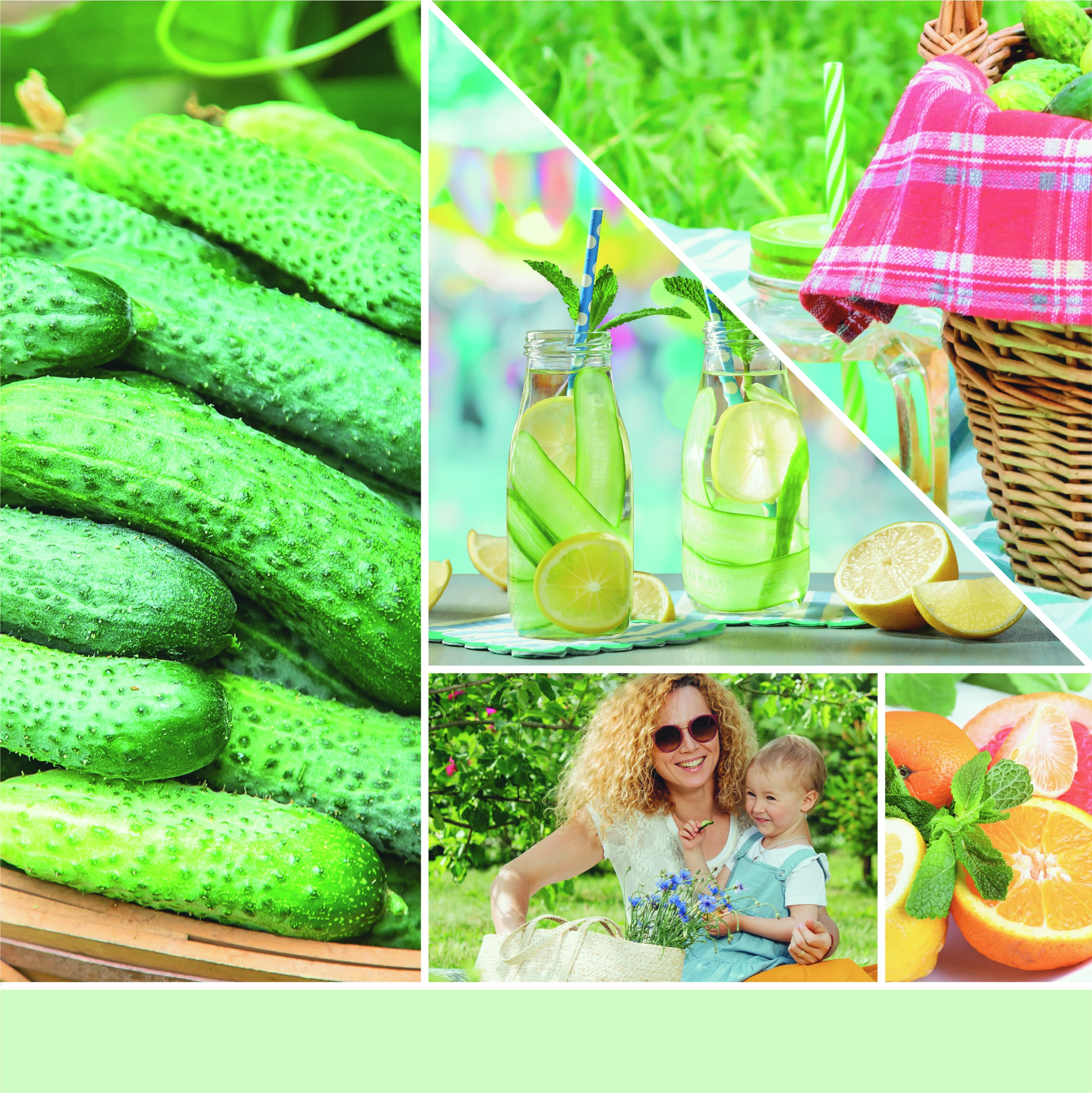 Cucumber Mint Cooler 37g Glasvotivkerze 3er Pack