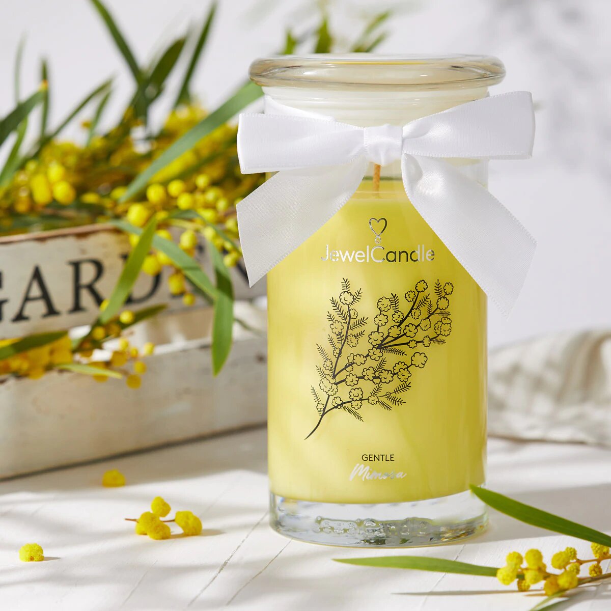 Gentile Mimosa (Armband) 400g