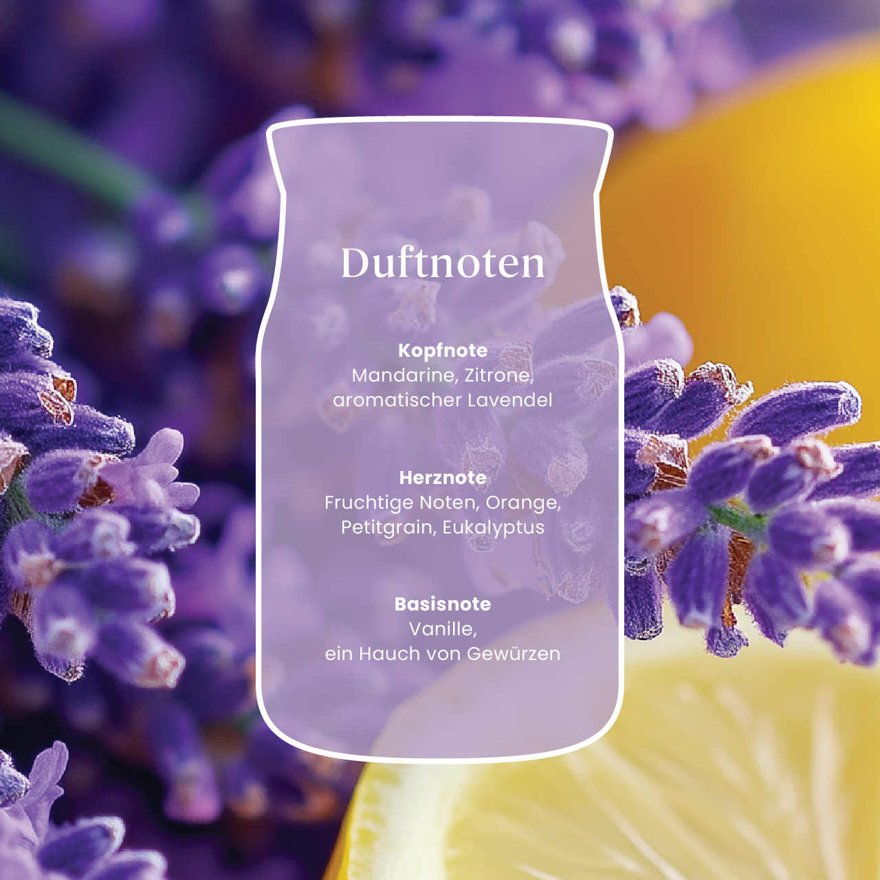 Duftnoten, Kopfnote, Herznote, Basisnote, Lavendel