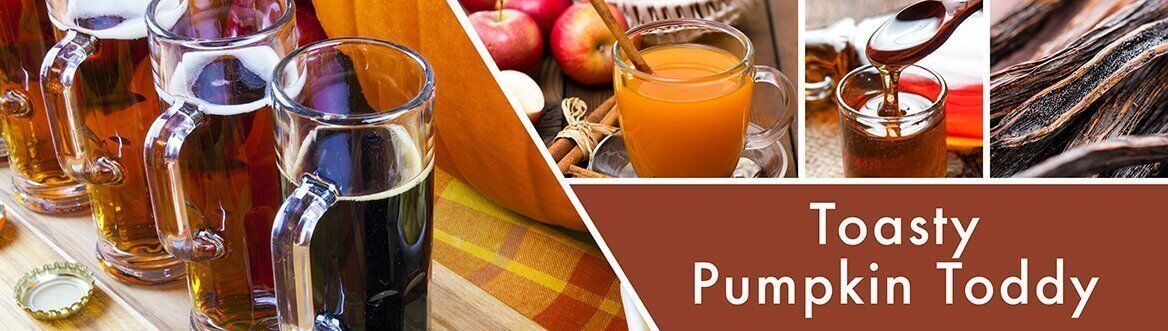 Toasty Pumpkin Toddy 680g