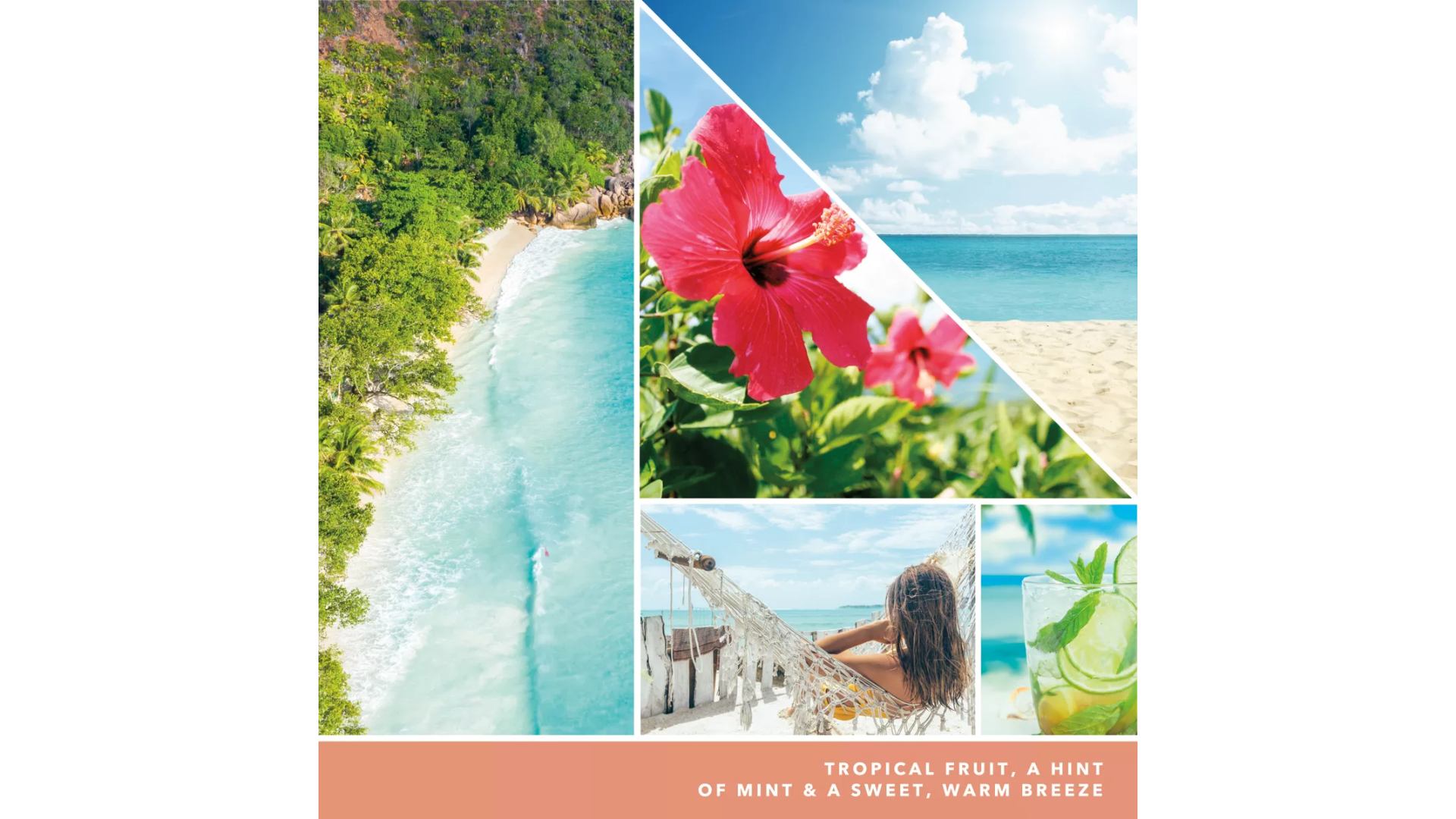 Download-32 Tropical Breeze 37g