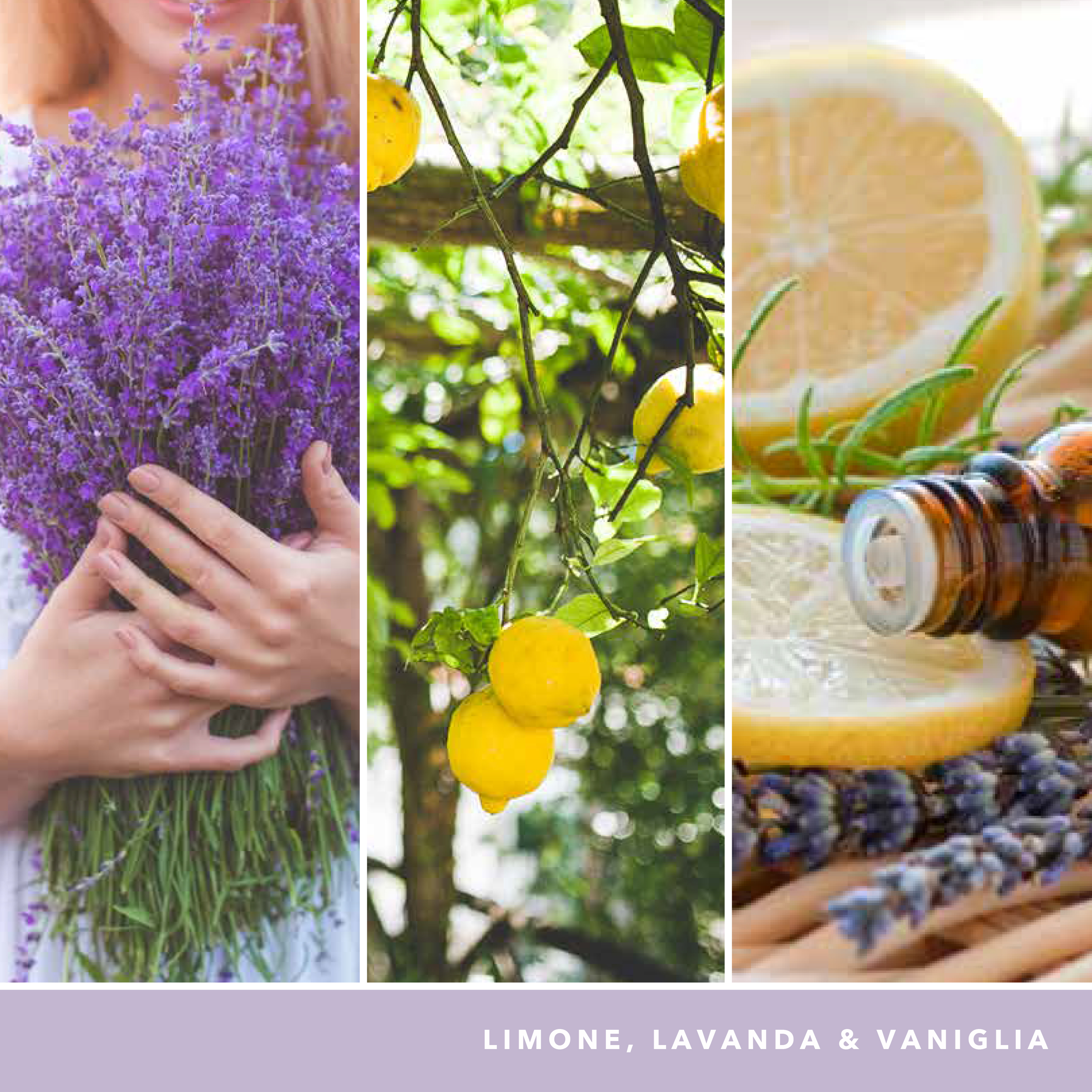 Lemon Lavender Signature Large Tumbler 567g 2-Docht