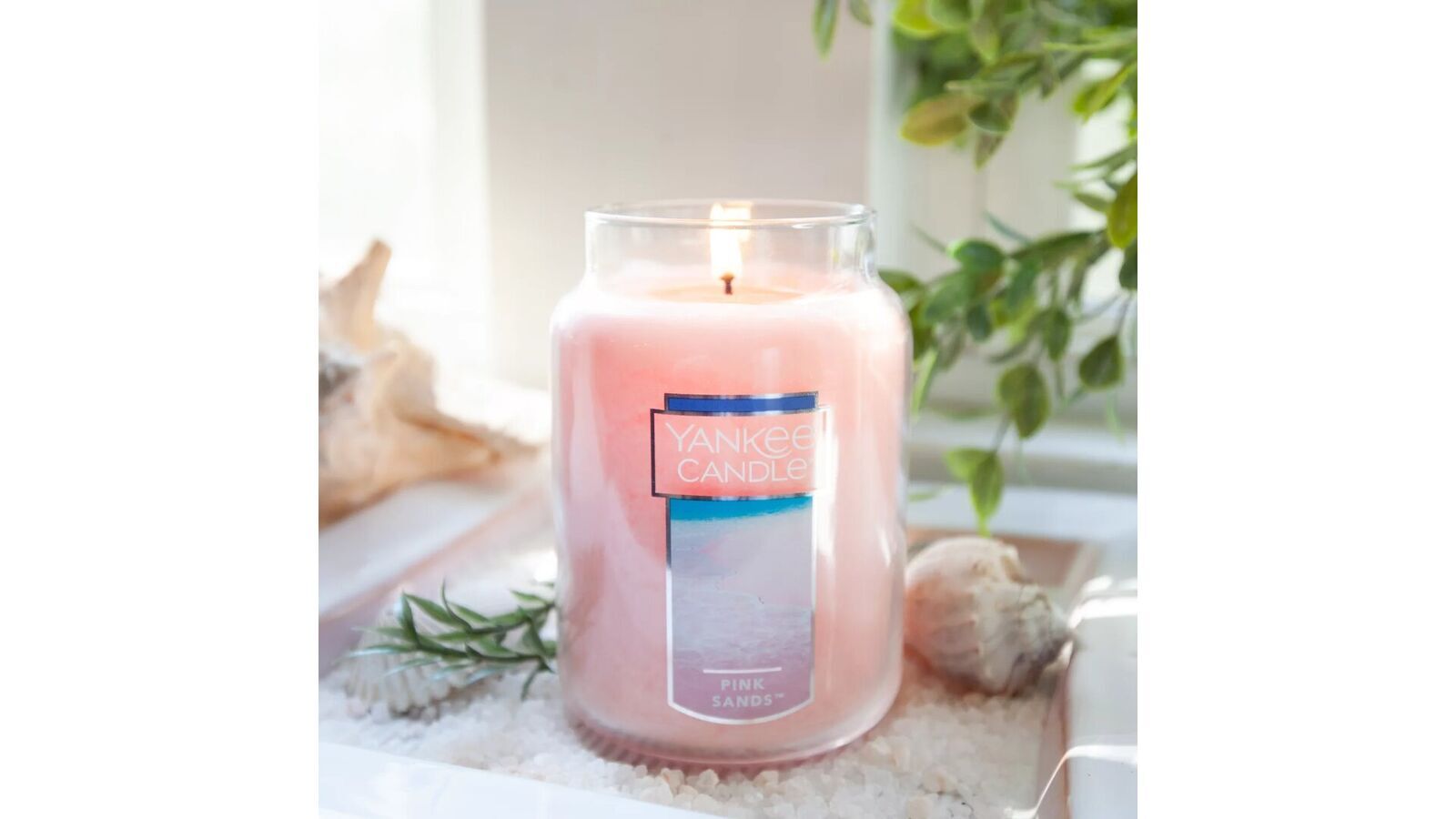 pinsa2 Pink Sands 623g