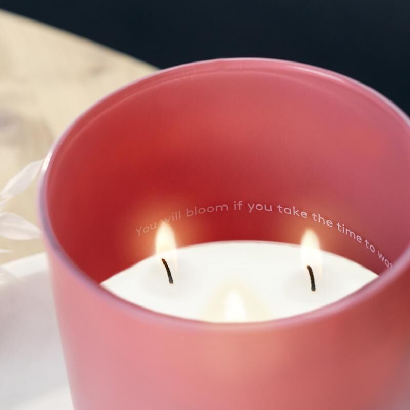 bf6139c0cce074177b19428bbca10a4f6c3cf464_51630878585_a9913c022d_o_a386210d-0e94-46b3-ac73-b15655777998_800x Peach Blossom 560g Secret Message