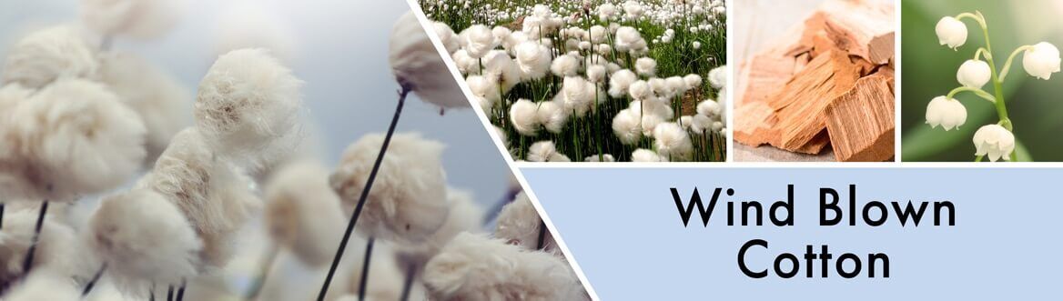 wind-blown-cotton-candles THANKFUL Wind Blown Cotton 411g (3-Docht) Farmhouse Collection