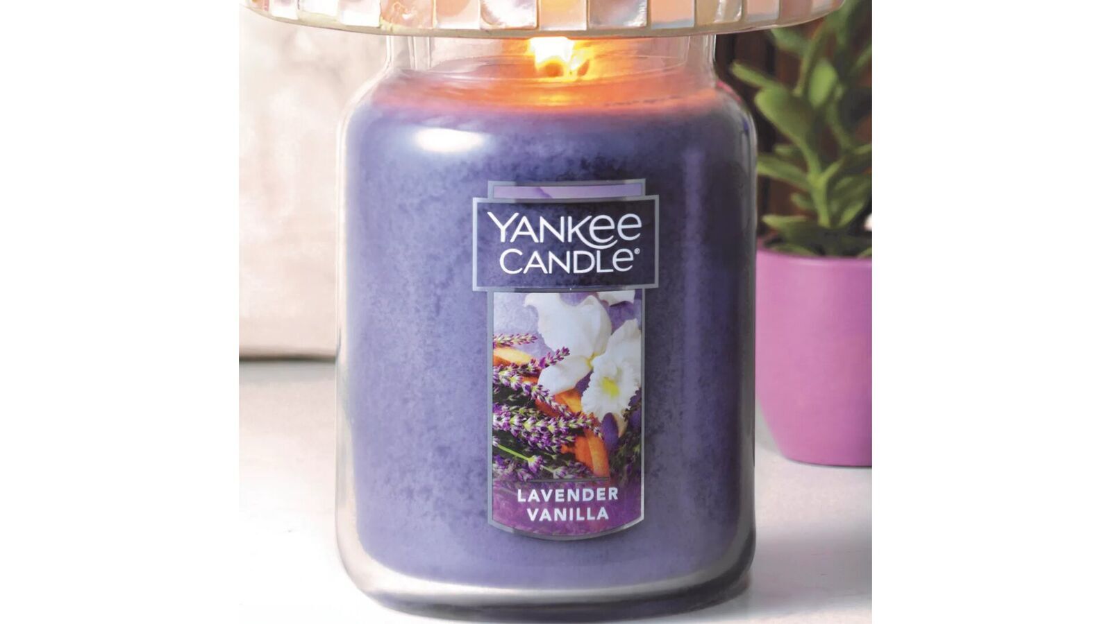 lavvan3 Lavender Vanilla 623g