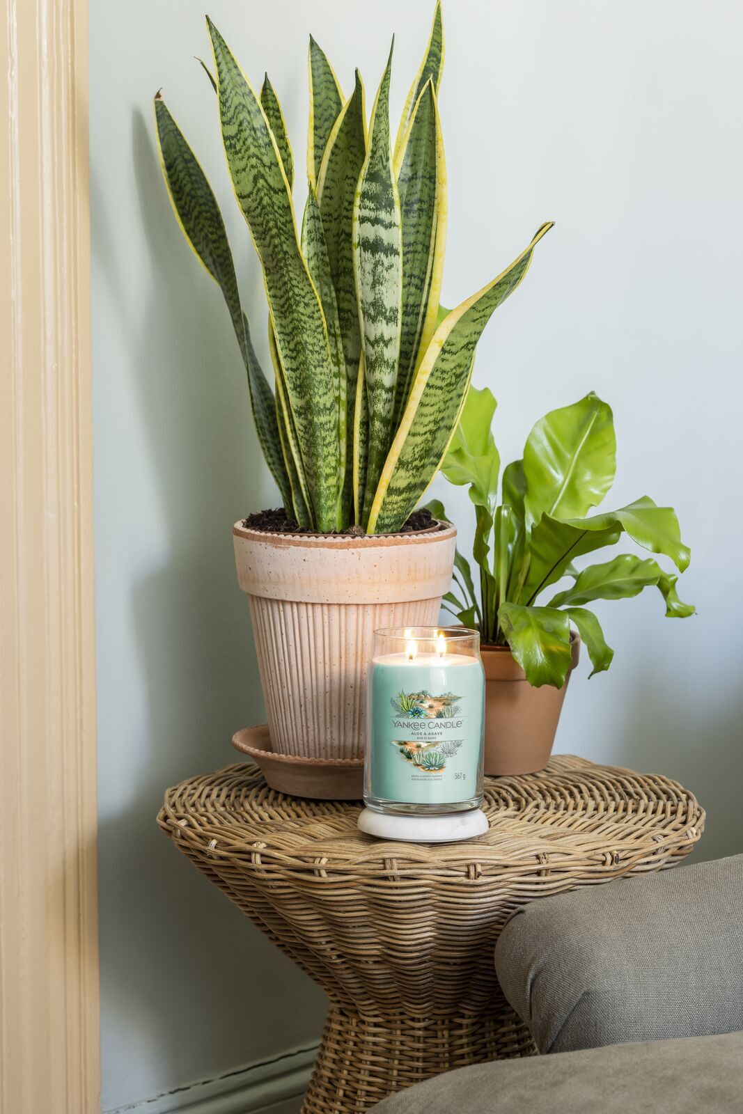 ALOE_AND_AGAVE_LARGE_019 Aloe & Agave Signature Large Jar 567g 2-Docht