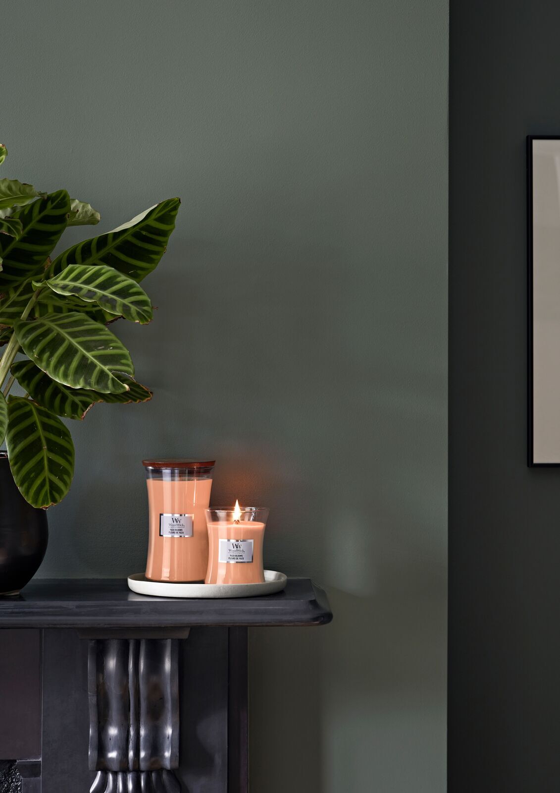 YC_SS23_1741_HRC Yuzu Blooms 610g