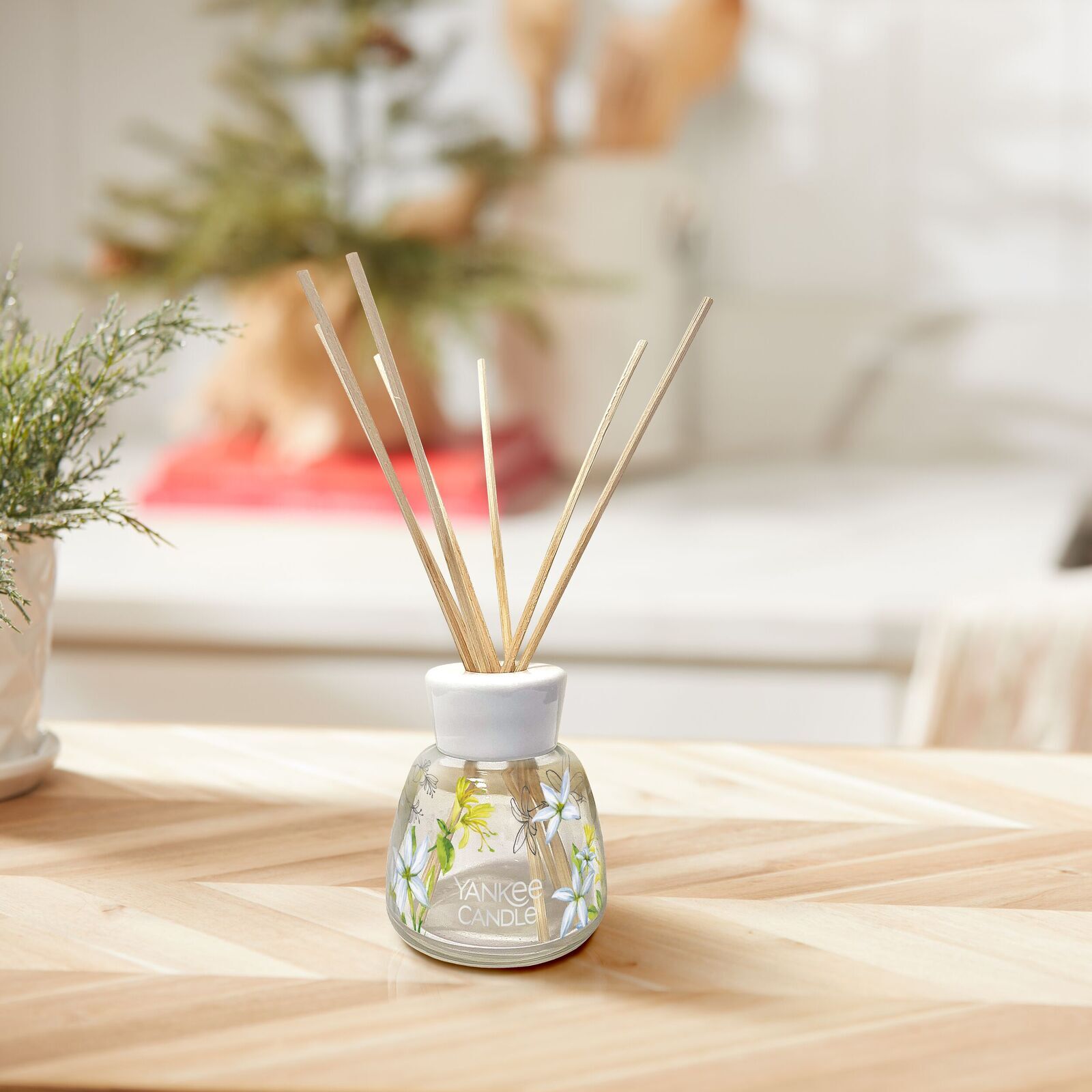 Midnight Jasmine Signature Reed Diffuser 100ml