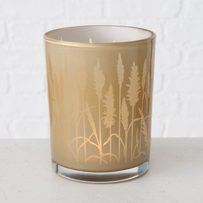 Einzelbild-UKjxdD9T-large Windlicht Pampas gold 12cm