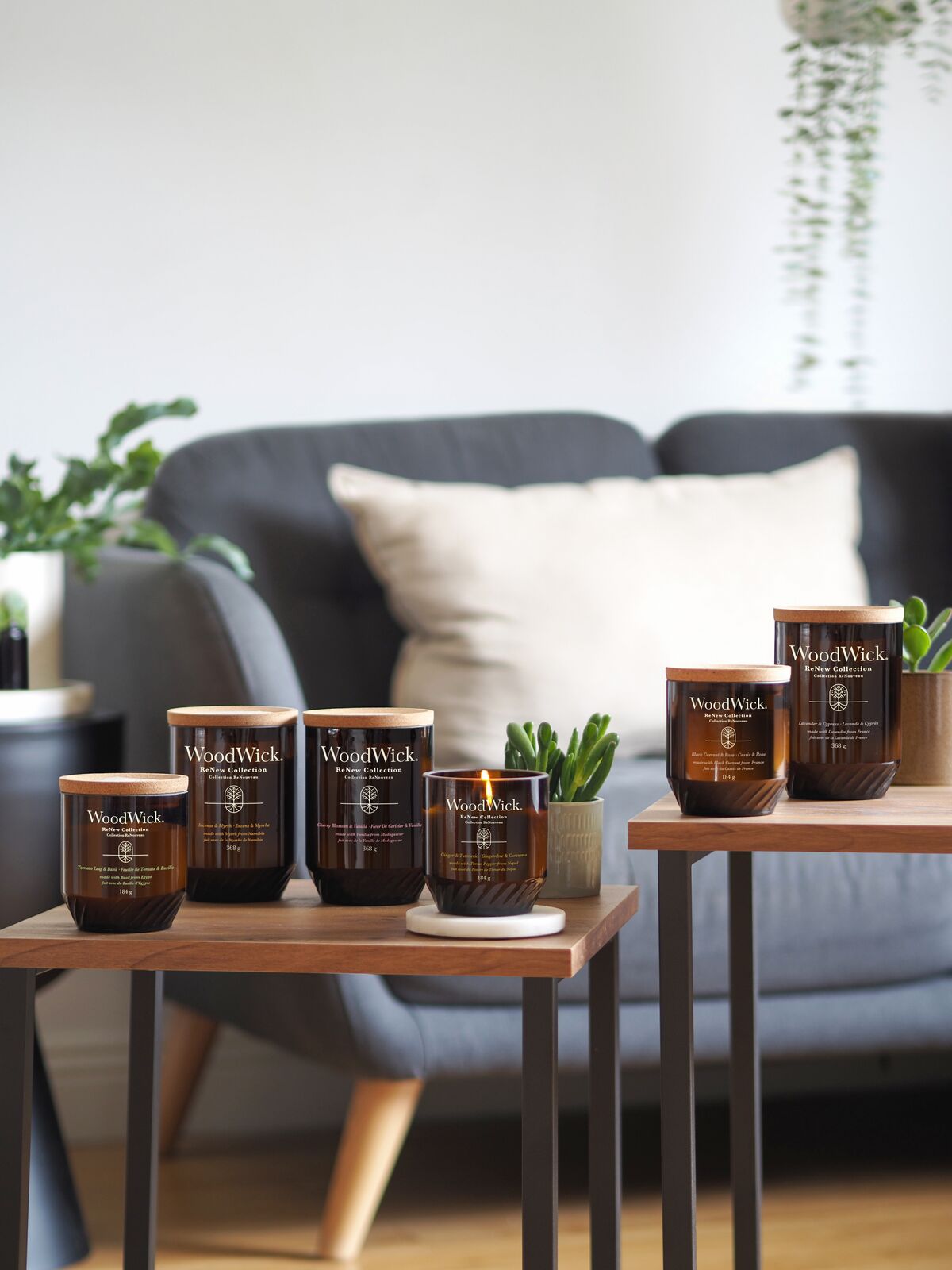 Incense & Myrrh 368g