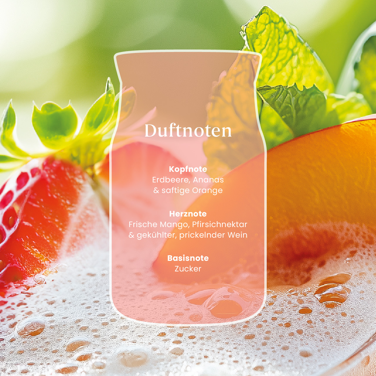 White Strawberry Bellini Signature Large Jar 567g 2-Docht White Strawberry Bellini Signature Large Jar 567g 2-Docht