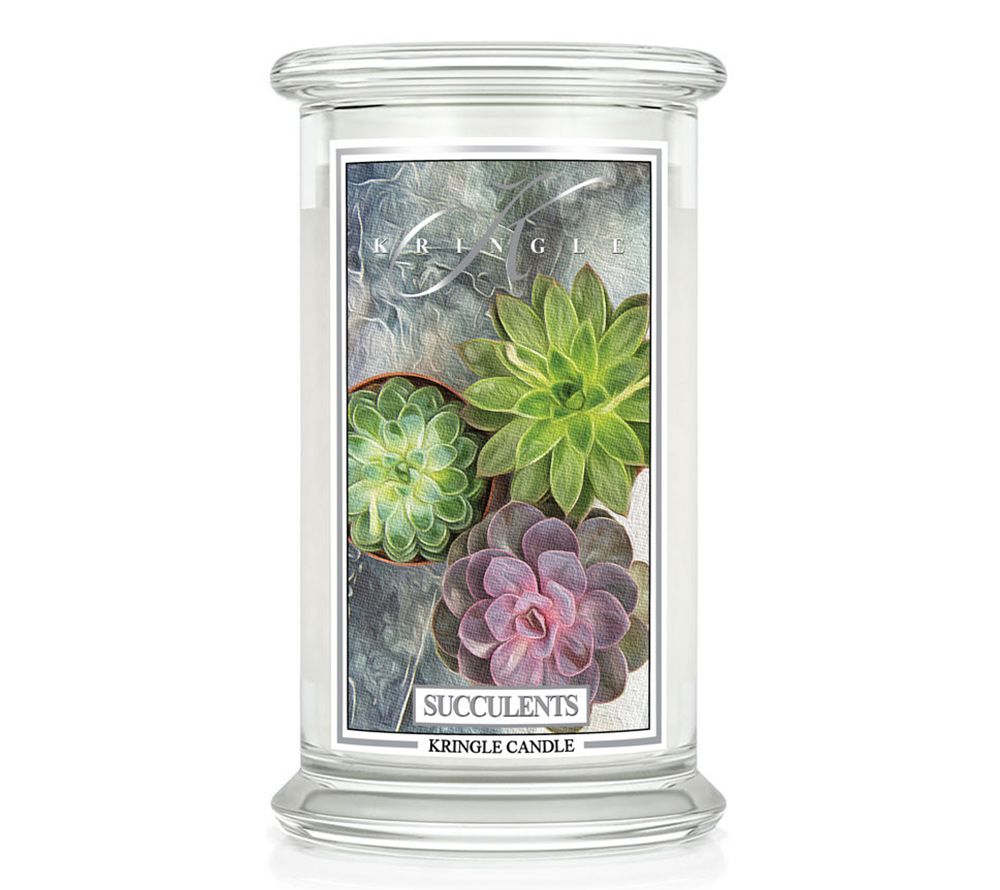 Succulents 623g